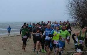 Ronce les Bains - 13-02-2022