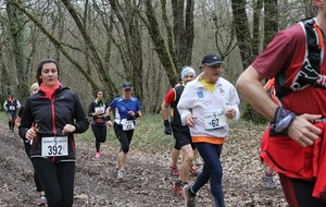 5c7d8263621b6_IMG5689.jpg