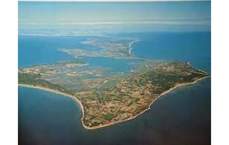 Sortie Trail sur l'Ile de Ré