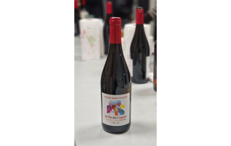 20 novembre 2025 : Beaujolais